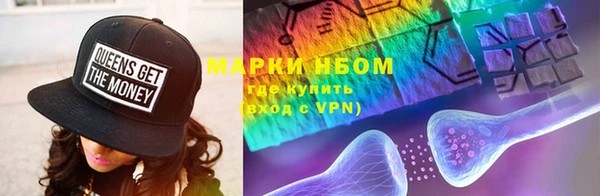 PSILOCYBIN Белокуриха