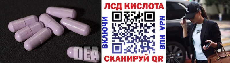 как найти наркотики  hydra ССЫЛКА  ЛСД экстази кислота  Гатчина 